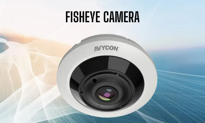 Fisheye Camera: Overview, Benefits, and Limitations