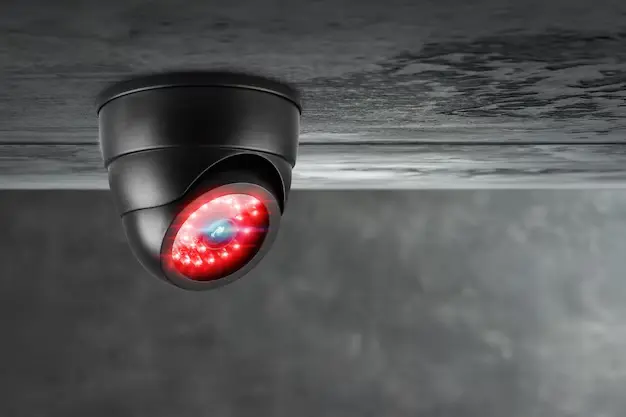Fake Security Cameras