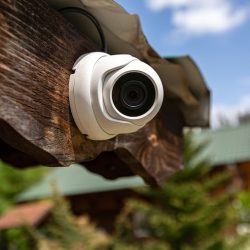 A Guide to Farm Security Cameras