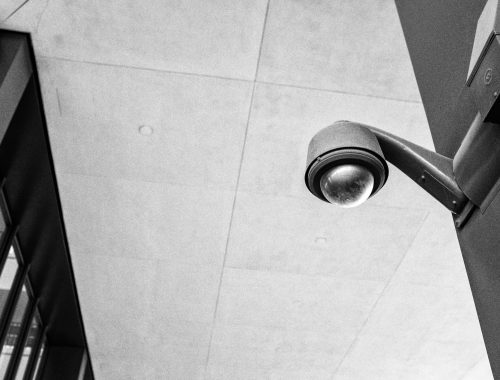 pexels-brett-sayles-20783671