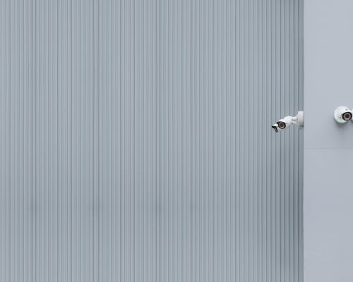 pexels-hngstrm-5581836