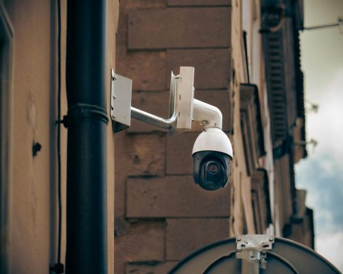 pexels-jakubzerdzicki-16746378 (1)