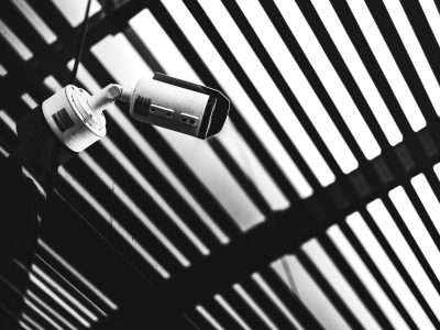 pexels-marek-piwnicki-3907296-8991526