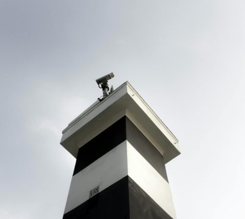 pexels-maumascaro-1381709