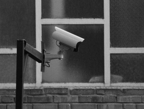 pexels-milad-maddah-254414211-12540540