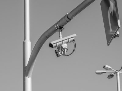 pexels-shox-31036015 (2)