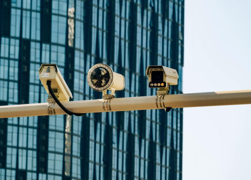 pexels-star-zhang-3254790-19782580